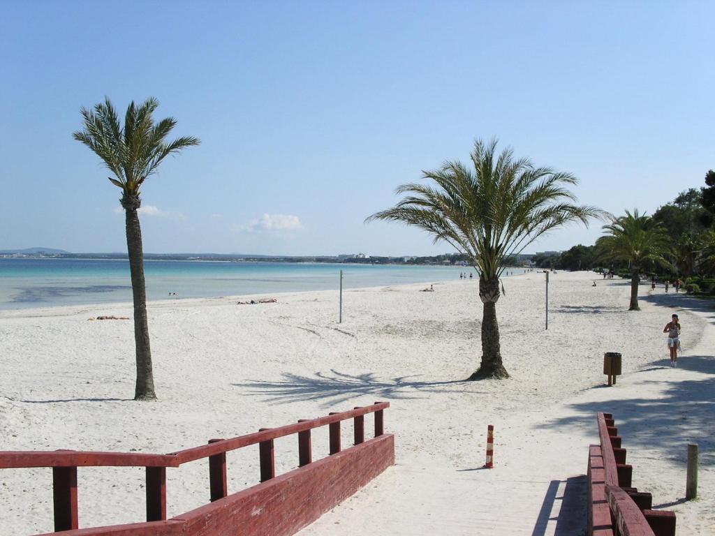 Ses Dalies Port de Alcudia (Mallorca)