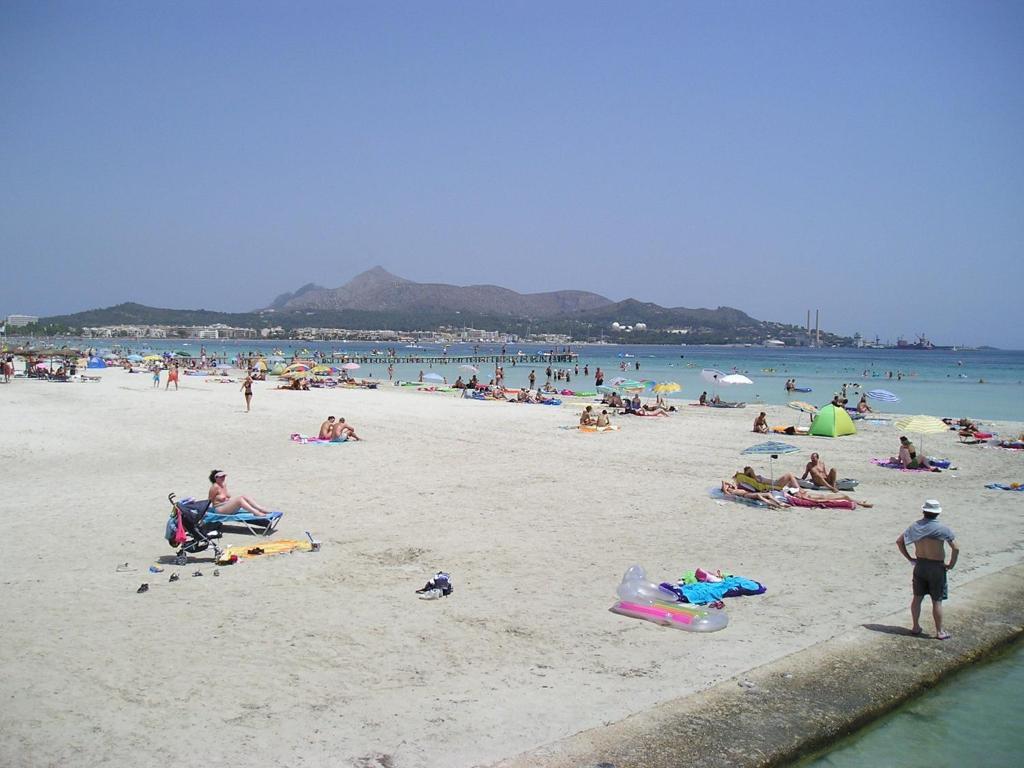 Lägenhet Ses Dalies Port de Alcudia (Mallorca)